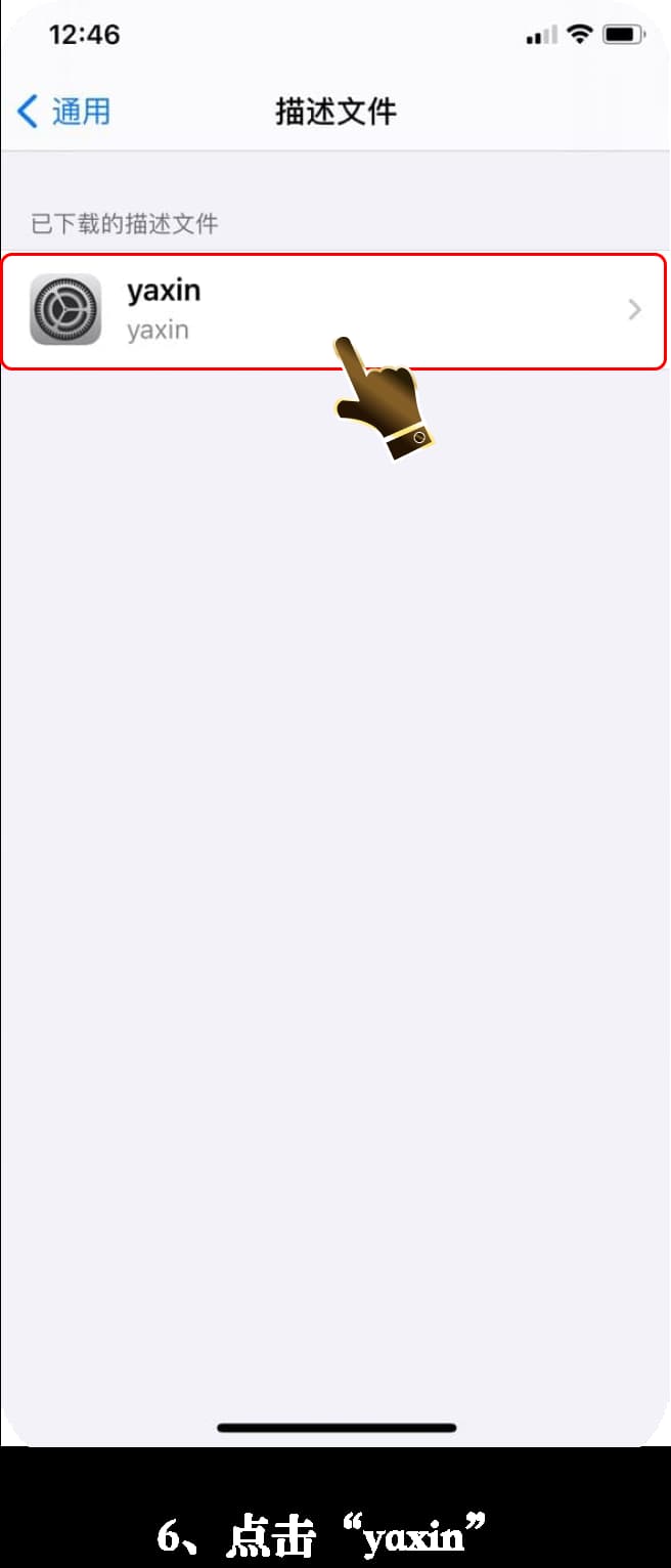亚星iOS客户端下载安装步骤图示说明6